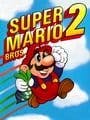 Super Mario Bros 2 USA
